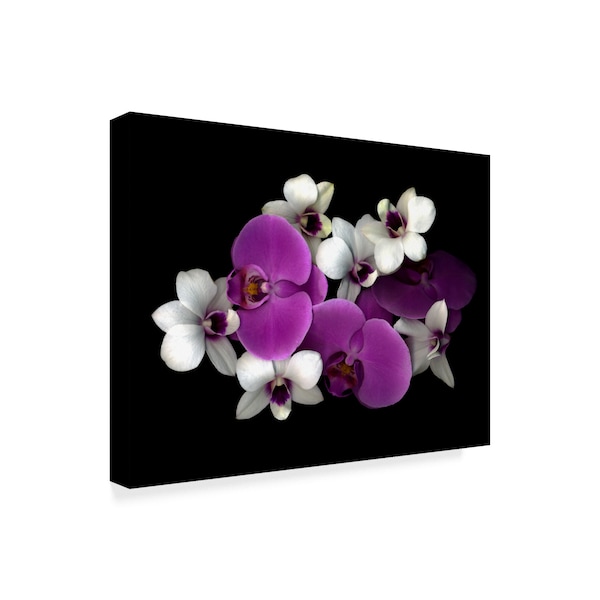 Susan S. Barmon 'Pink And White Orchids' Canvas Art,18x24